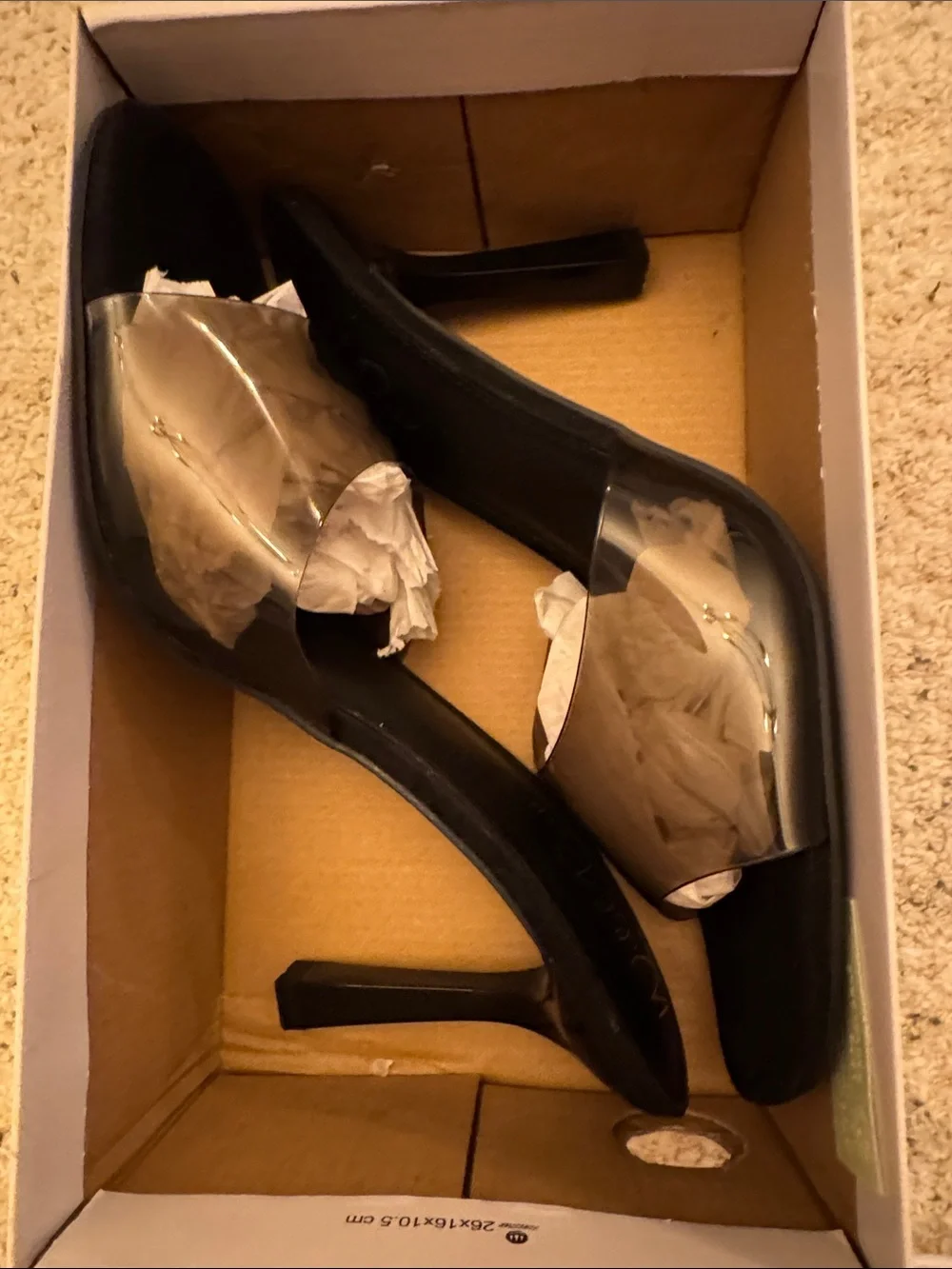 Wild Pair Black Pumps with Clear Vamp Strap